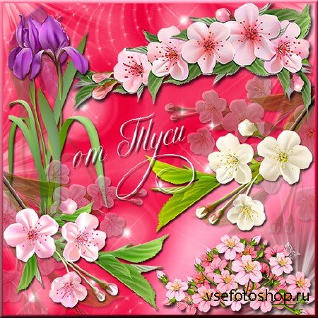Клипарт - Весенние цветы