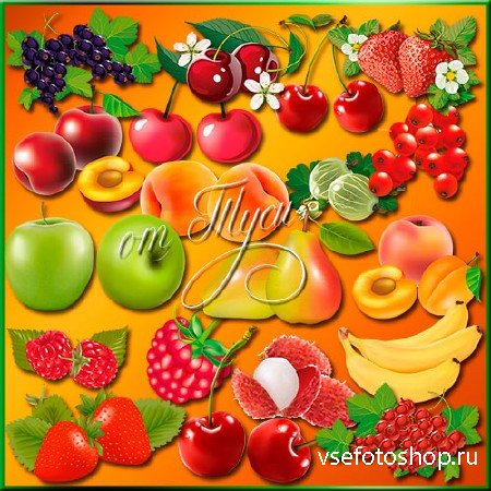 Клипарт - Ягоды и фрукты - очень вкусные продукты