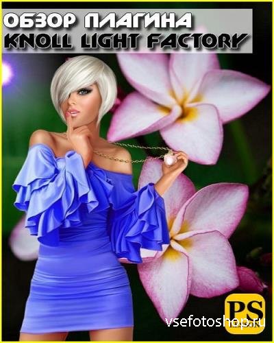   Knoll light factory (2017)