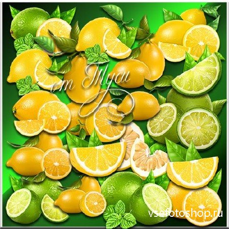 Лимоны - Клипарт