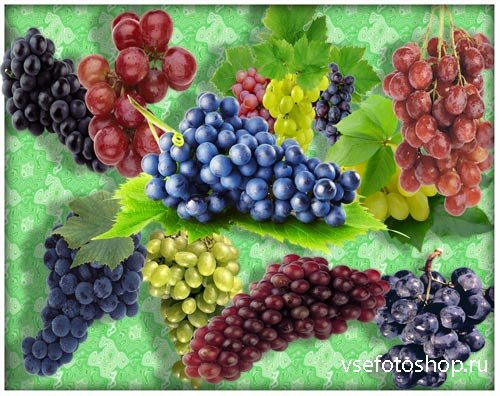 Фотошоп png - Спелый виноград