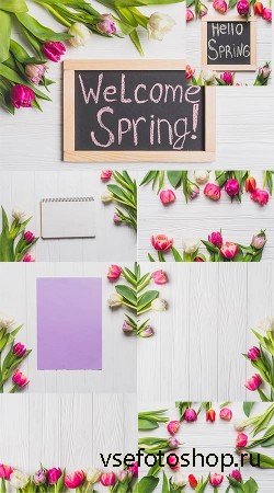     / Spring backgrounds with tulips