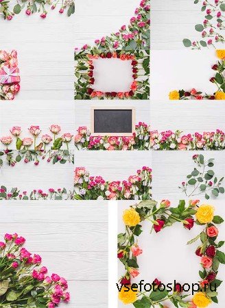     / Spring backgrounds with roses