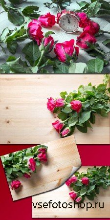     -  / Beautiful roses for congratula ...