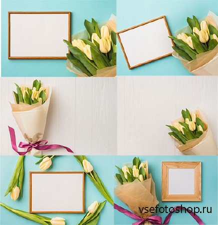      / Spring backgrounds with tulips