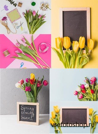 Весенние фоны с тюльпанами и рамками / Spring backgrounds with tulips and f ...