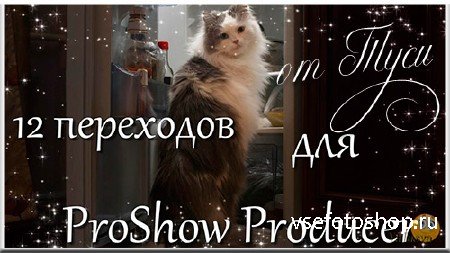 12 переходов для ProShow Producer - Звёзды / 12 transitions for ProShow Pro ...
