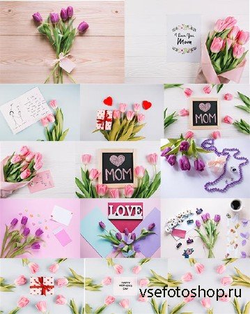      / Backgrounds with tulips for congratula ...
