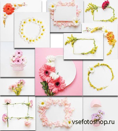 Цветы на белом фоне - Клипарт / Flowers on a white background - Clipart
