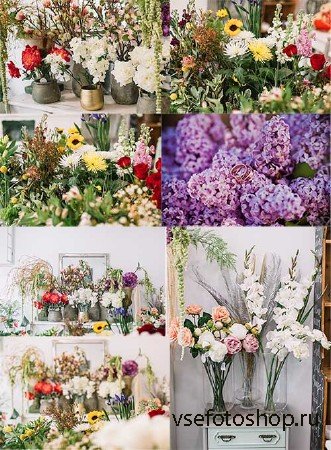    / Bouquets of beautiful flowers