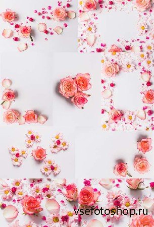   -  / Beautiful roses - Clipart