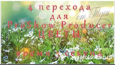 4    ProShow Producer - 
