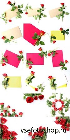     / Backgrounds with red roses