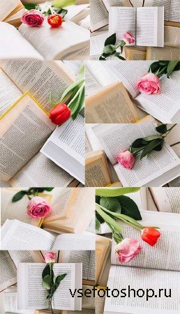     -  / Tulip in an open book - Clipart