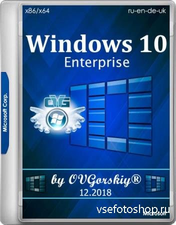 Windows 10 Enterprise 1809 RS5 x86/x64 by OVGorskiy 12.2018 2DVD (2018/MULT ...