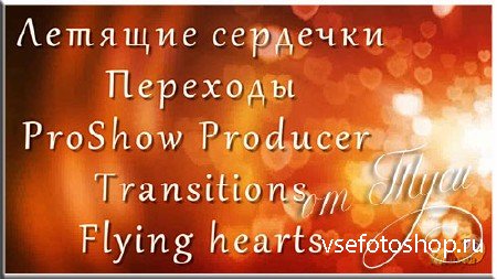   -   ProShow Producer