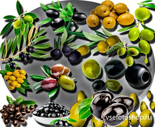 Клиапрты на прозрачном фоне - Черные и зеленые оливки