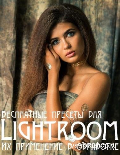 Бесплатные пресеты для Lightroom. Их применение в обработке фотографий (201 ...