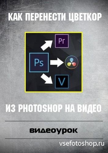     Photoshop   (2019)