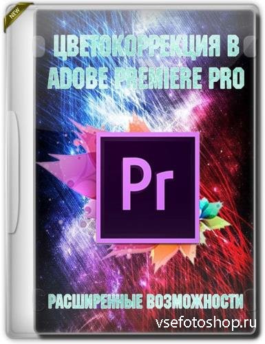 Цветокоррекция в Adobe Premiere PRO. Расширенные возможности (2019)