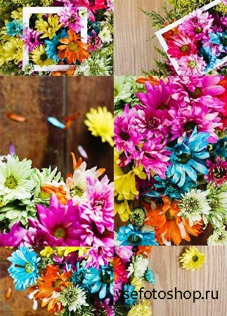 Фоны с цветами / Backgrounds with flowers
