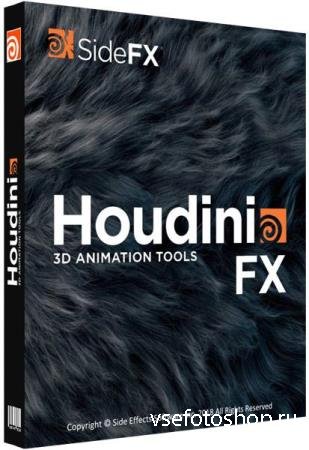 SideFX Houdini FX 17.5.425